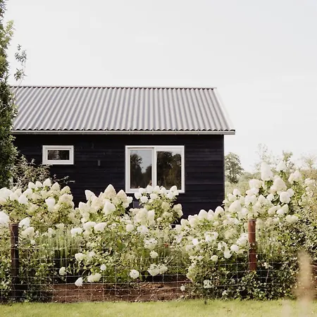 Holiday home Huize Henk *
