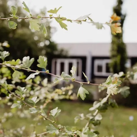 Huize Henk Holiday home
