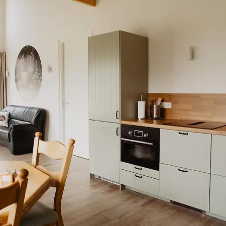 Huize Henk Holiday home Emst