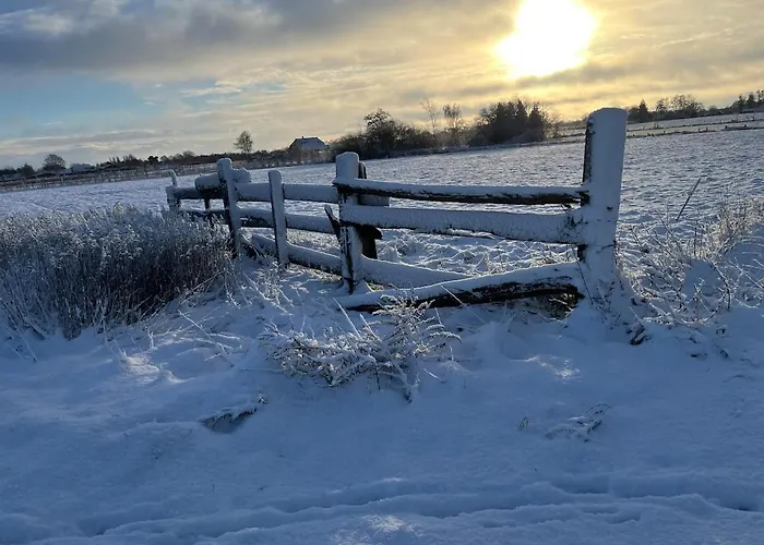 Huize Henk Semesterbostad Emst