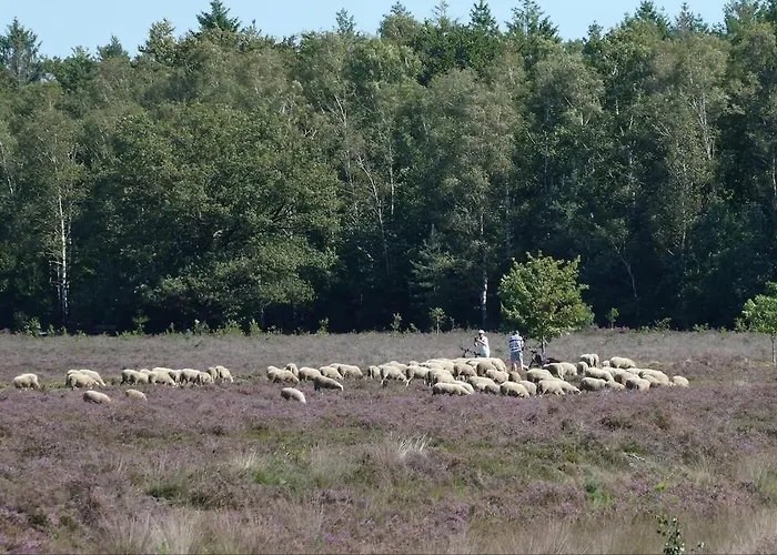 Huize Henk Vakantiehuis *