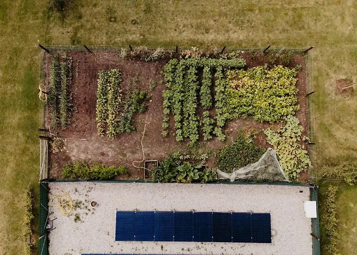 Vakantiehuis Huize Henk *