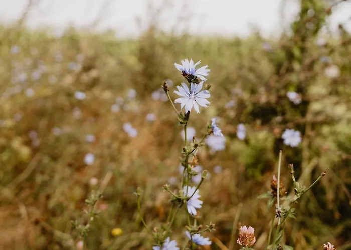 Huize Henk Vakantiehuis