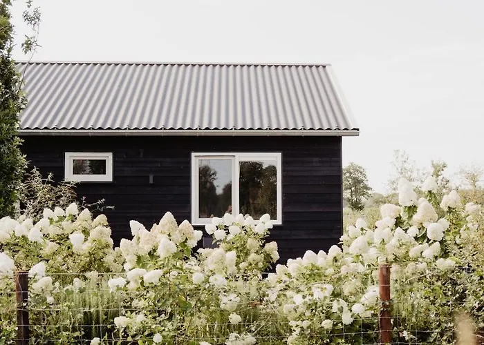 Vakantiehuis Huize Henk *