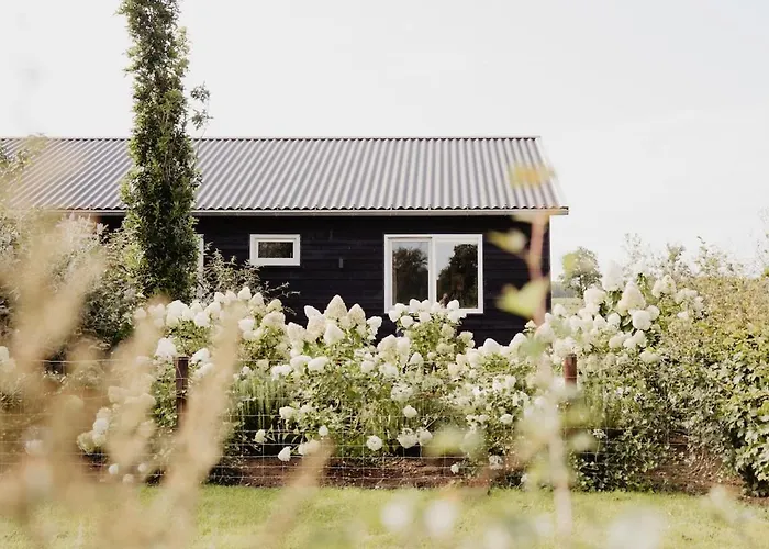 Vakantiehuis Huize Henk *