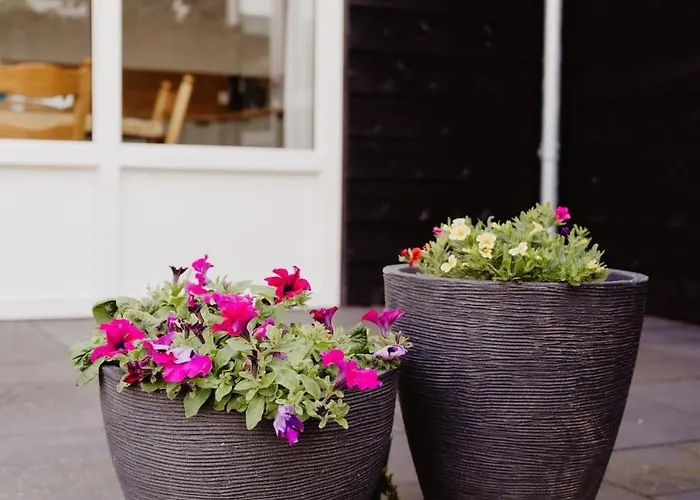 Huize Henk Semesterbostad *