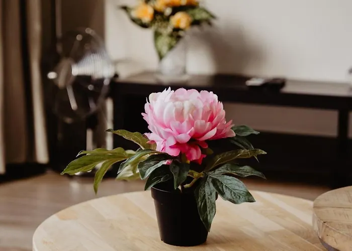 Huize Henk Semesterbostad