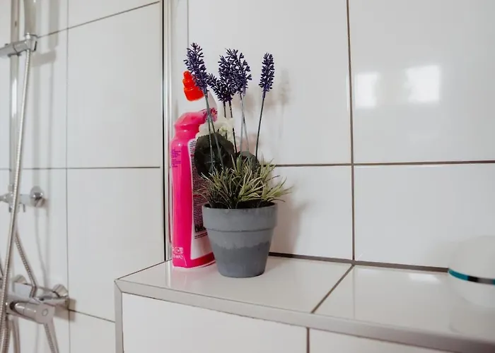 Huize Henk Semesterbostad