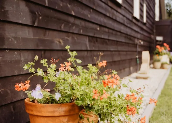 Huize Henk Semesterbostad *