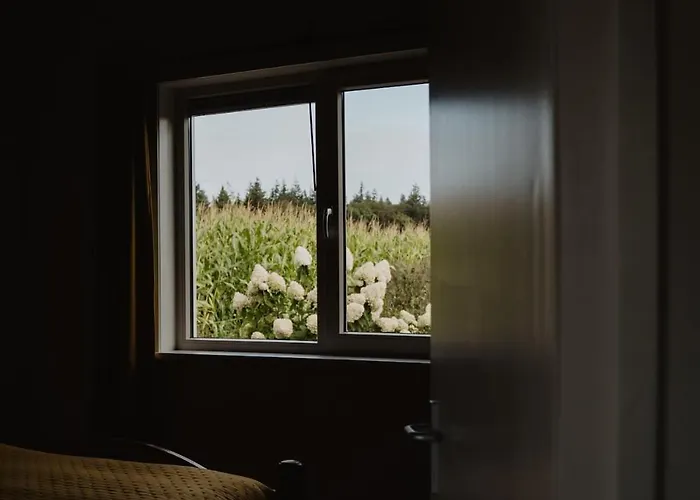 Huize Henk 펜션 엠스트