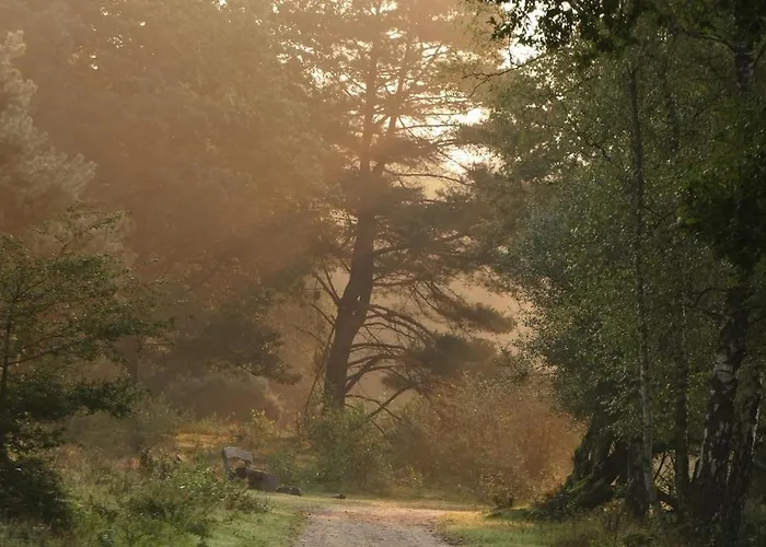 Huize Henk 엠스트