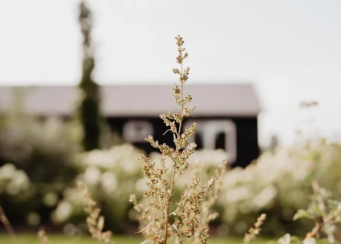 Huize Henk * 엠스트